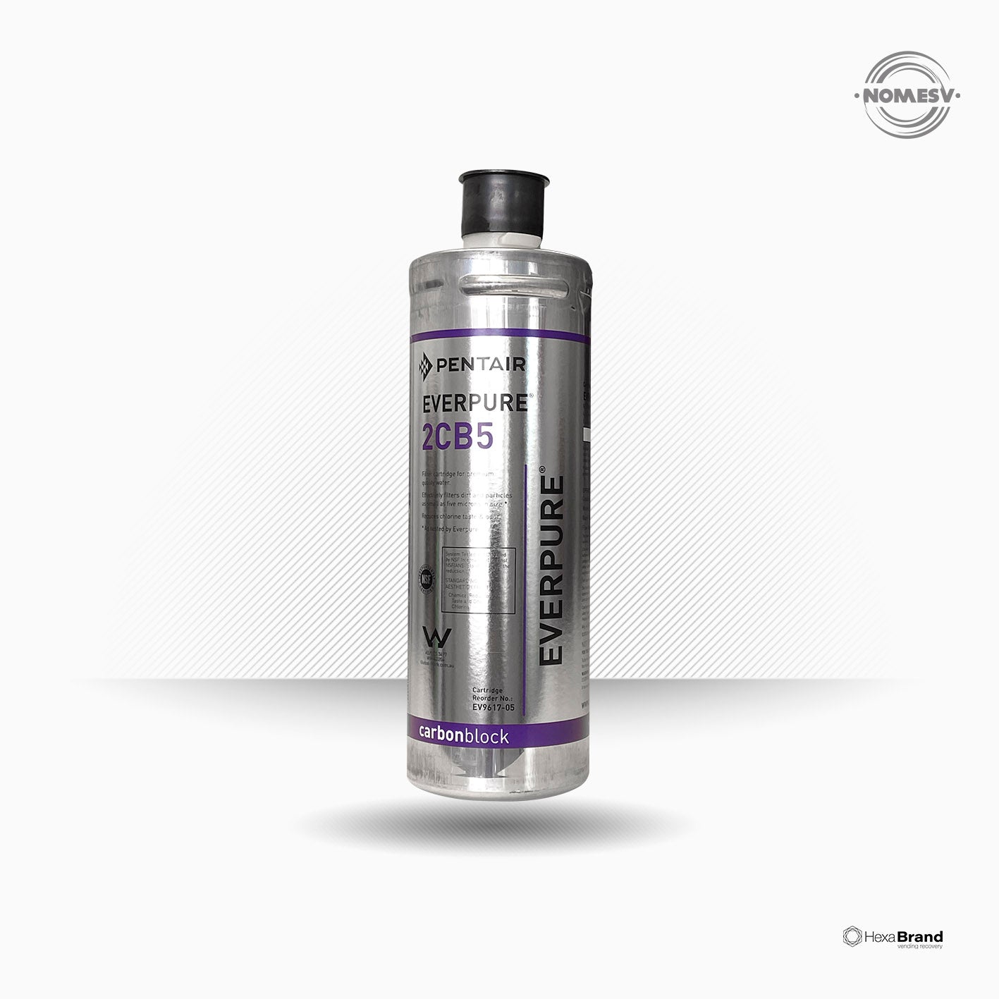 Filtre - cartouche Everpure 2CB5 - EV961705