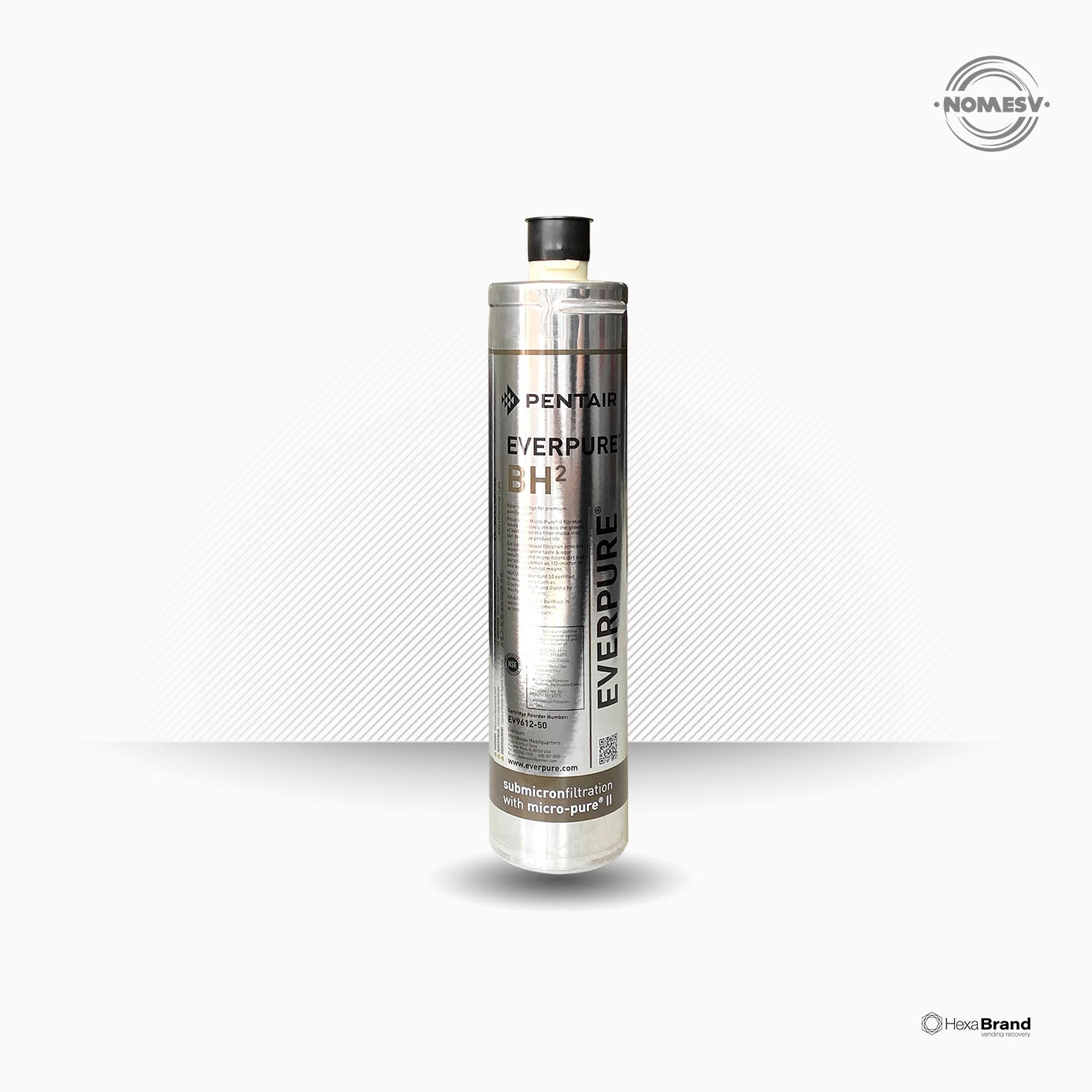 Filtre - cartouche Everpure BH2 - EV961251
