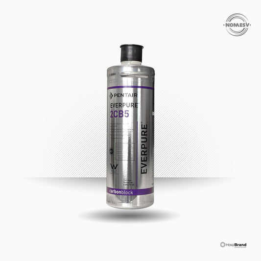 Filtre - cartouche Everpure 2CB5 - EV961705